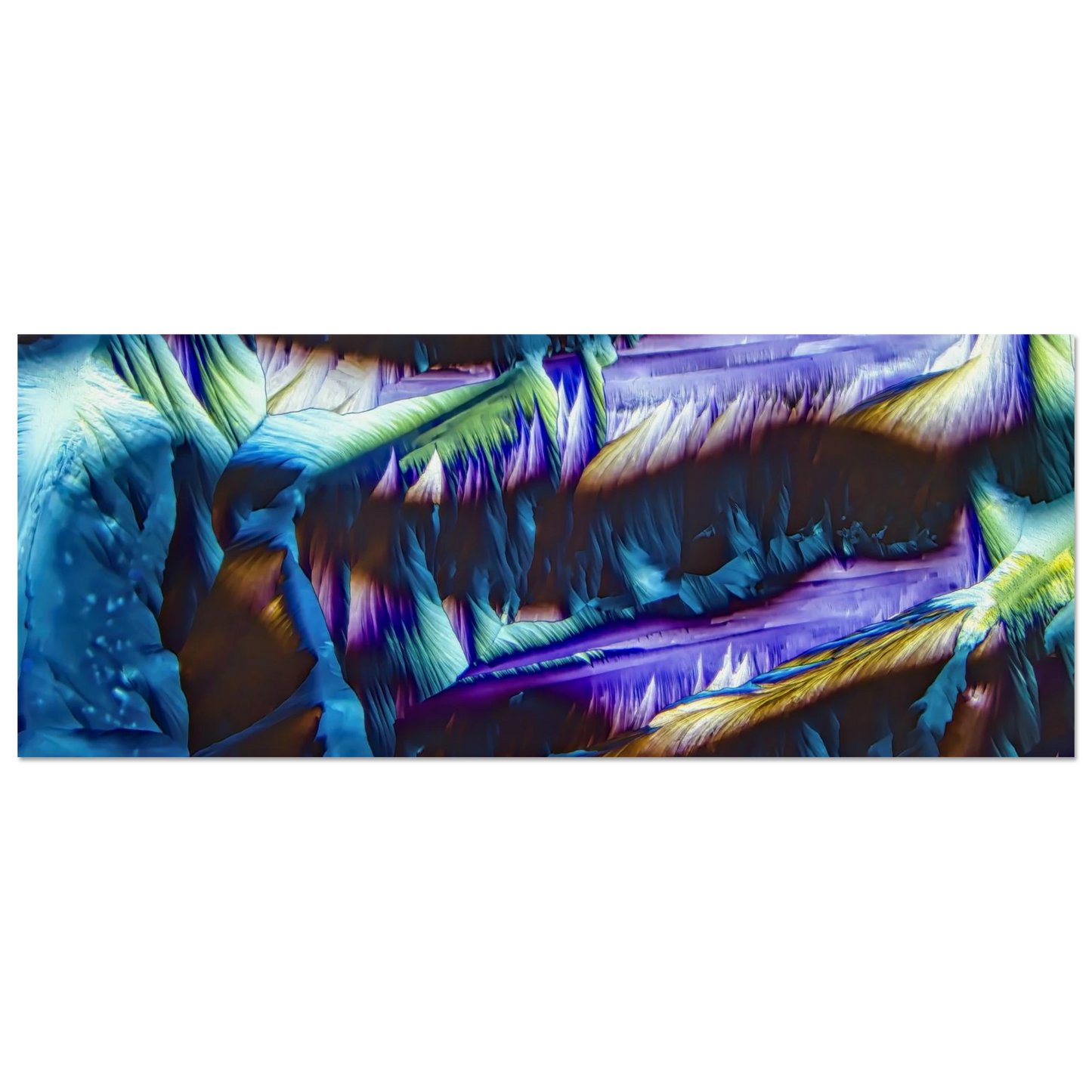 82224267-a285-447e-9d3e-c8ed1815ed1a