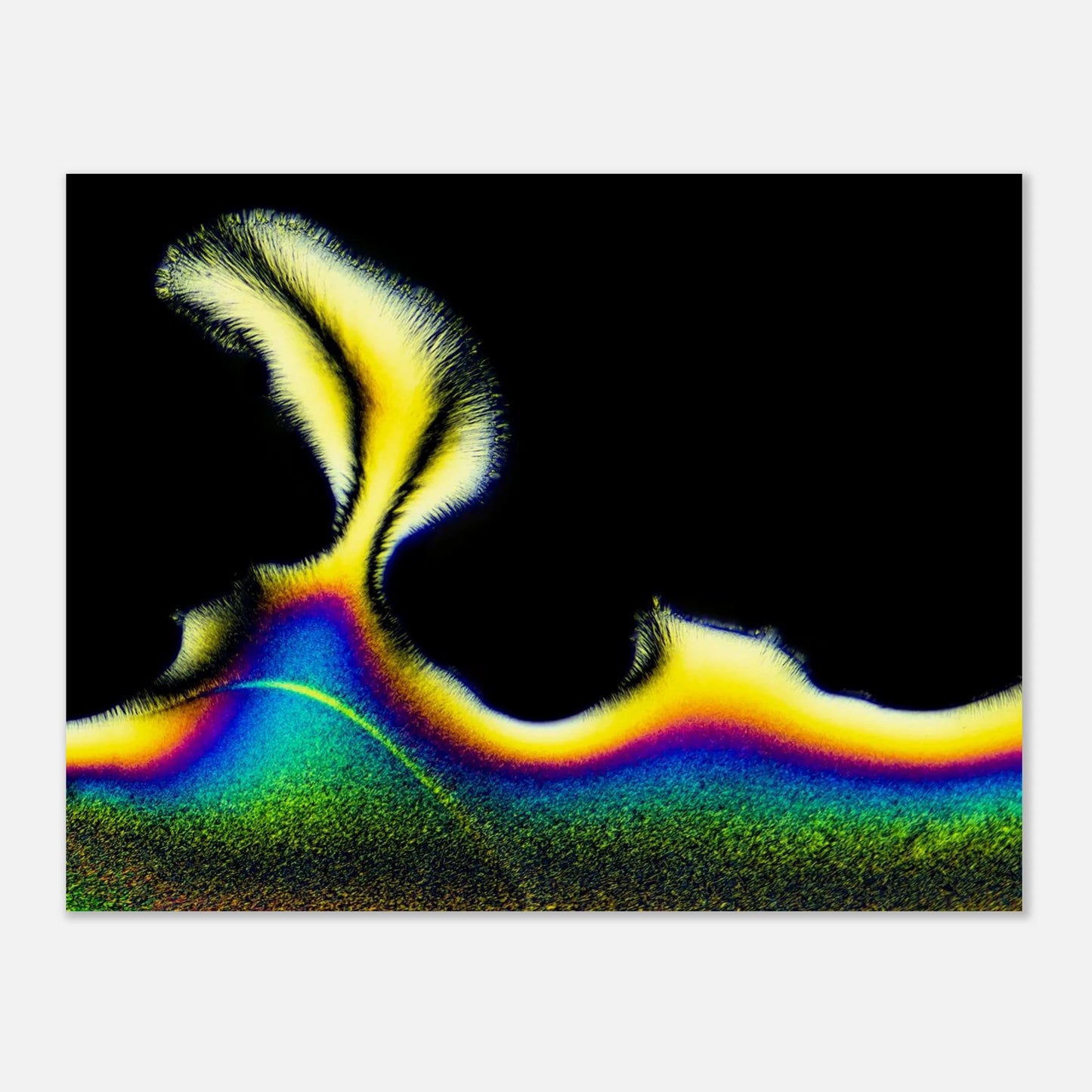 8703cc4e-d8ff-4212-9c68-3b8e1e3e9728