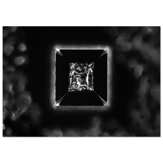 8bb39b8f-55f2-4899-9d6b-d75edfb719b5