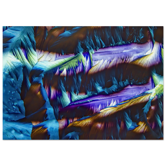 8c917d17-293f-4c1a-b37a-c76f57c3608b