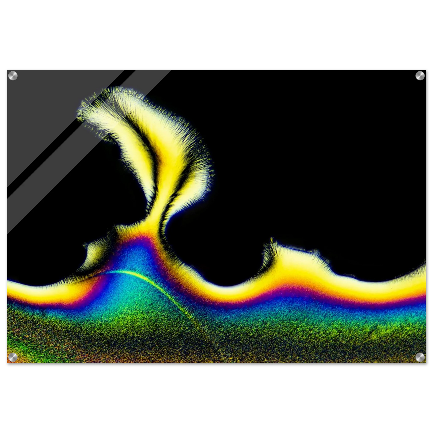 9d8d006b-8e12-428d-89ab-ff231722dd79