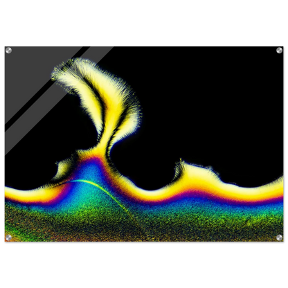 9d8d006b-8e12-428d-89ab-ff231722dd79