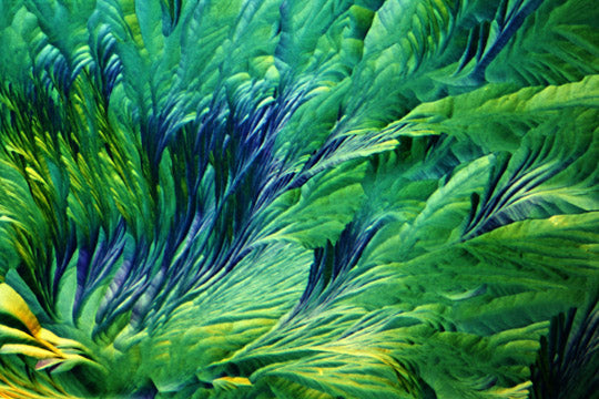 Beta Alanin und L-Glutamin Mikrokristall-Bild – digitale Mikrofotografie zum Download, hochauflösendes Motiv