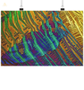 Caesiumchlorid mit Kupfersulfat - Mikrokristall-Poster Din A4 wioostore.de