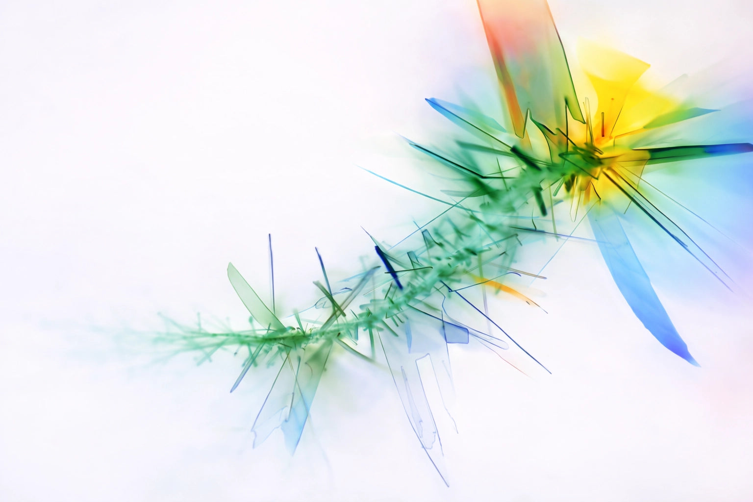 Mikrokristall-Fotografie von Benzoesäure im Auflicht – leuchtende Kristallstruktur in Grün, Gelb und Blau mit feinen, diagonalen Ausläufern auf hellem Hintergrund.