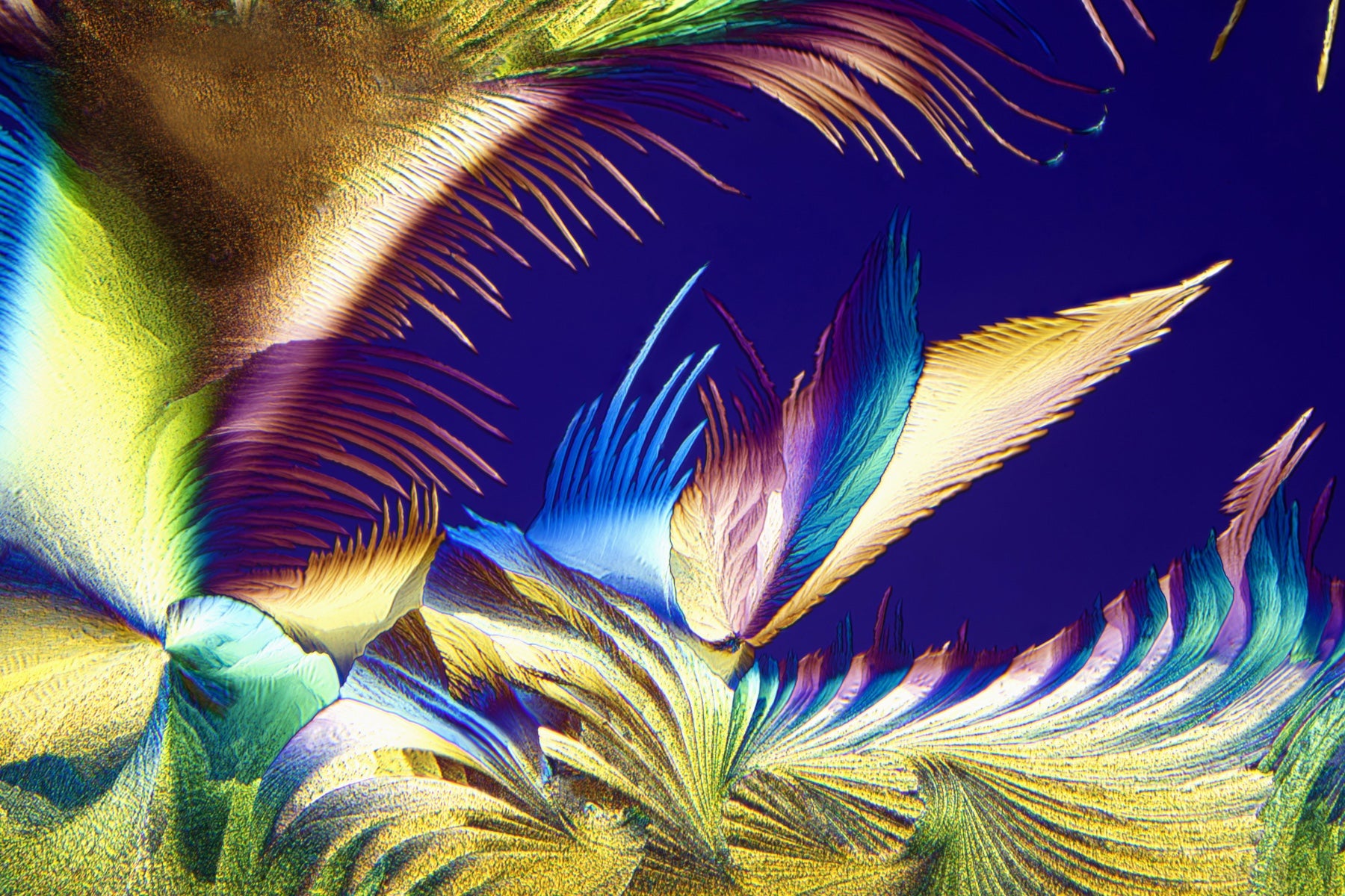 Weihnachten bei WiooStore