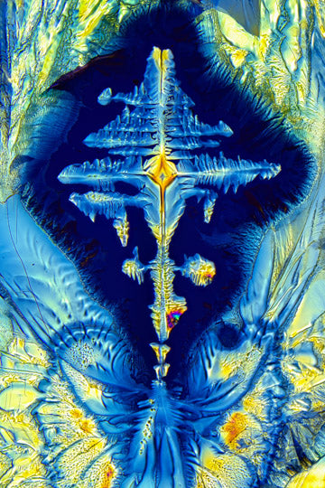 Paracetamol Mikrokristall-Bild – digitale Mikrofotografie zum Download, hochauflösendes Motiv