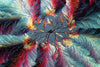 Zimtsäure Mikrokristall-Bild – digitale Mikrofotografie zum Download, hochauflösendes Motiv