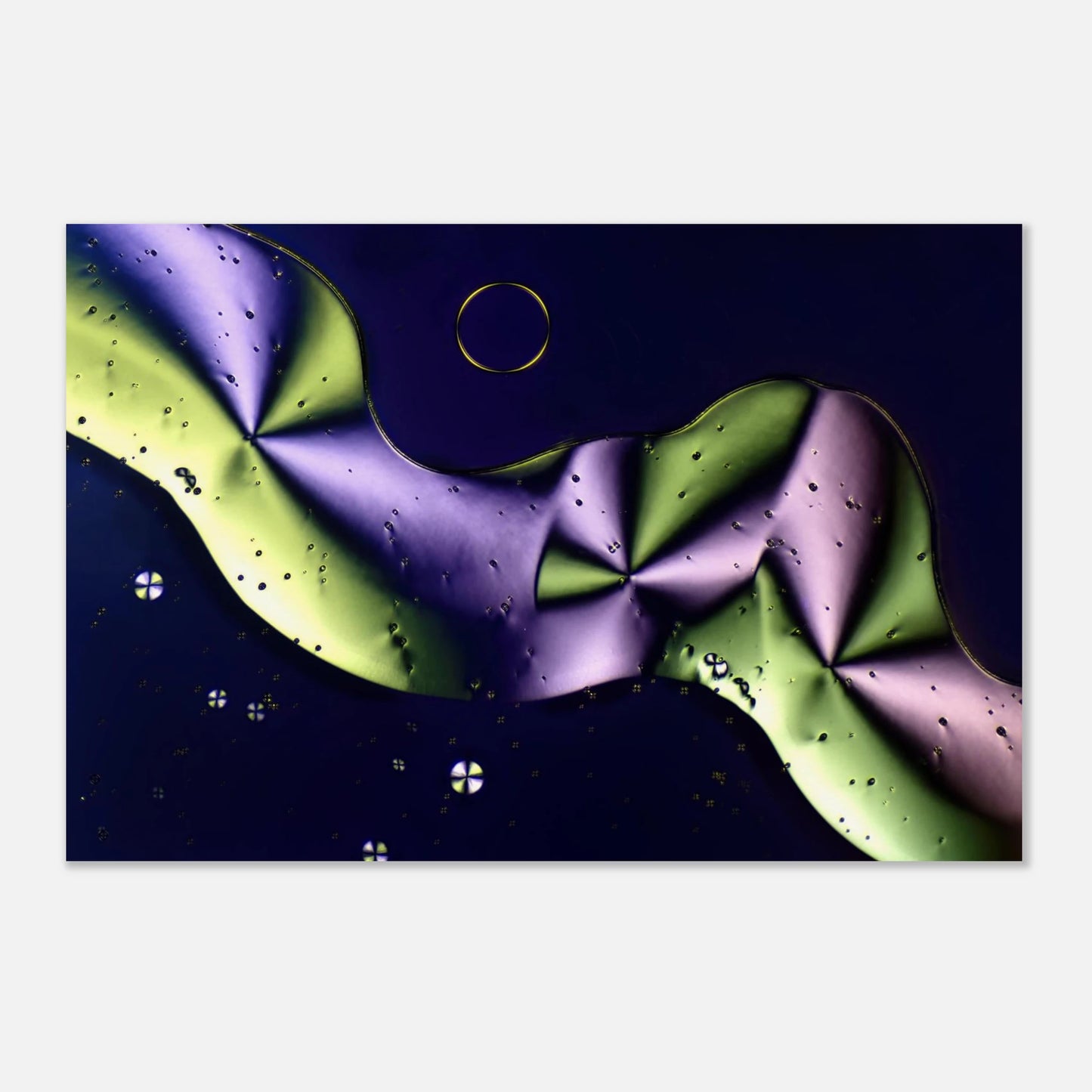 a659123a-297a-40ac-a816-95b362b128a0