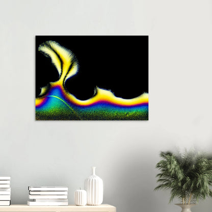 a7cbe752-9359-4225-8b20-8fe780d3ed10