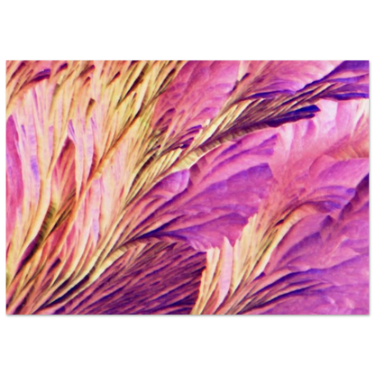 aeeecd01-93ed-4f14-abb1-ae44f04a4e47