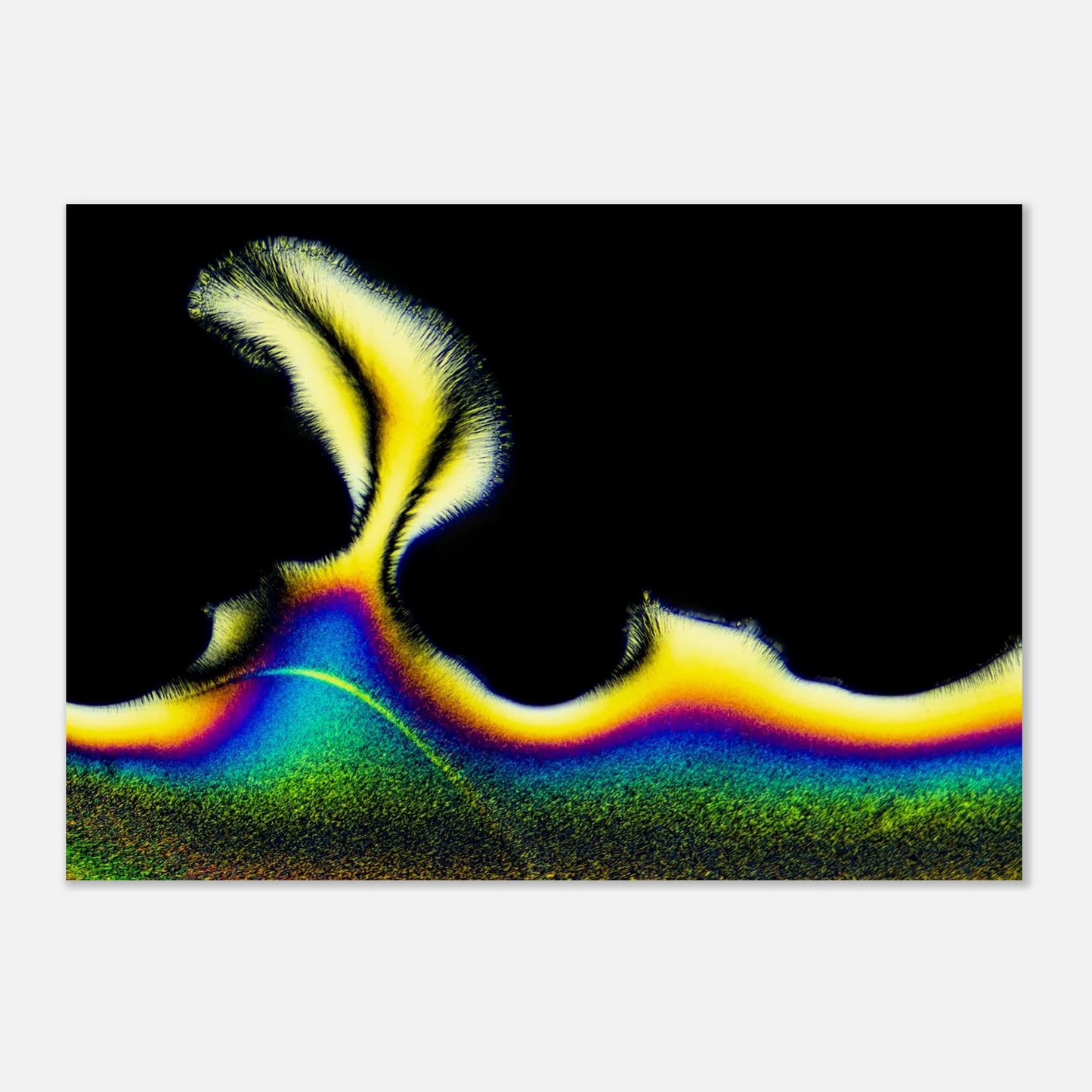 b7df77ce-d687-448e-80a8-7e6c23724ed2