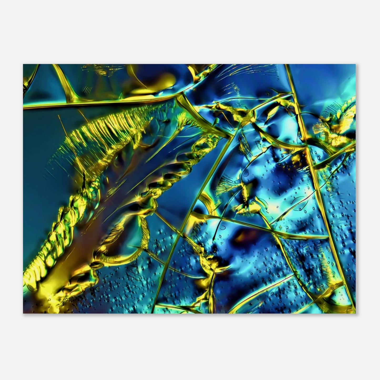 ba11d305-86c0-4a7b-809a-a29f342ea204