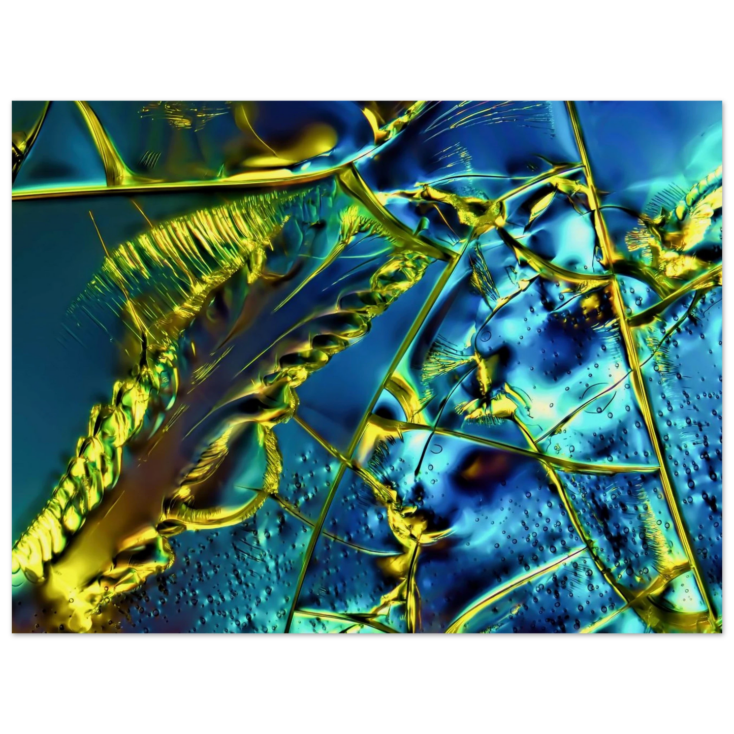 baa53265-4a4e-4174-b928-346a6cc006c6