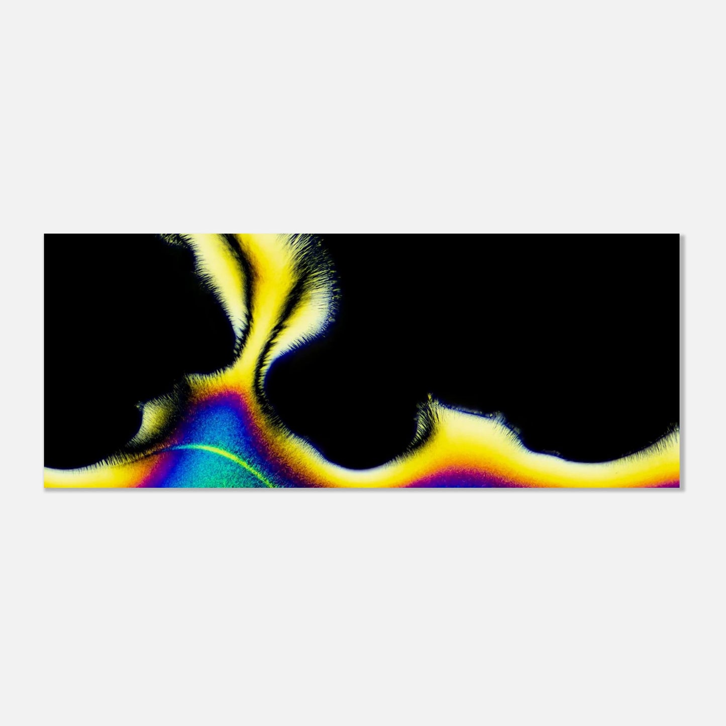 c42766b1-0804-44ea-994c-e66b339cbccd