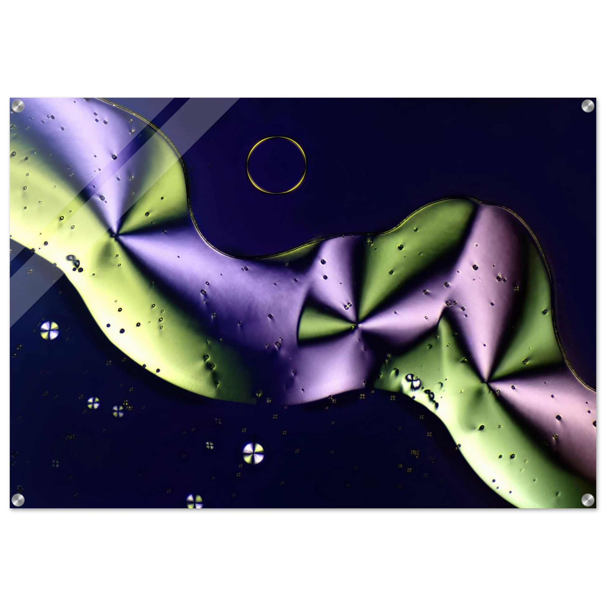 c5acf834-fb65-4766-93f2-04fb6a4ee225
