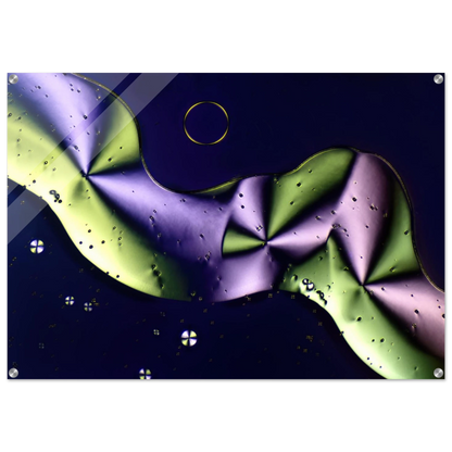 c5acf834-fb65-4766-93f2-04fb6a4ee225