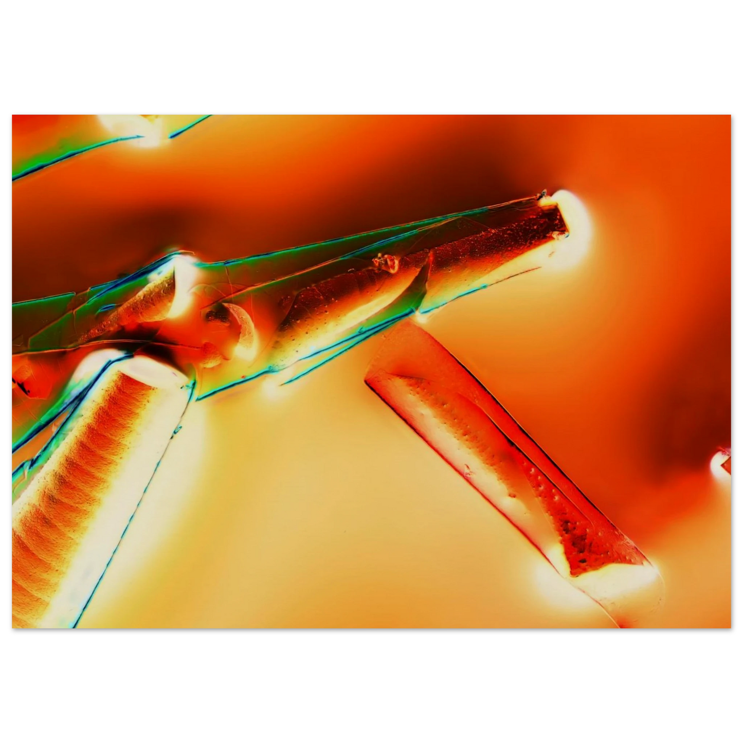 c898bab4-d9e6-4b2b-ba41-86660354a3e1