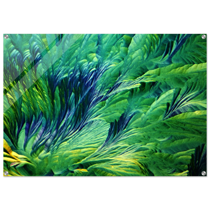 cf60a628-aa9b-4dcf-af17-5952c526b6bf