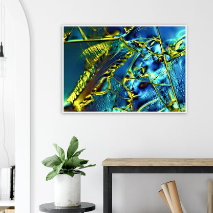 d9e8a169-e5bf-403a-b14c-e93661d49a10