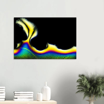 dd000da3-7575-4c6f-ad1a-38cf20d8d903