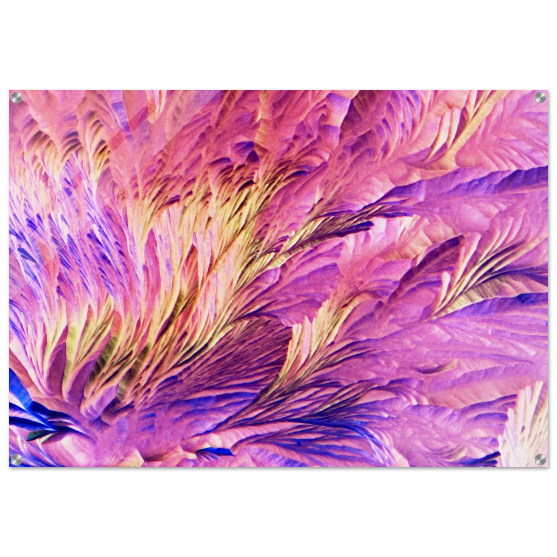 e27d6e90-dc7d-49cb-96a4-5ac0c1e33b7d