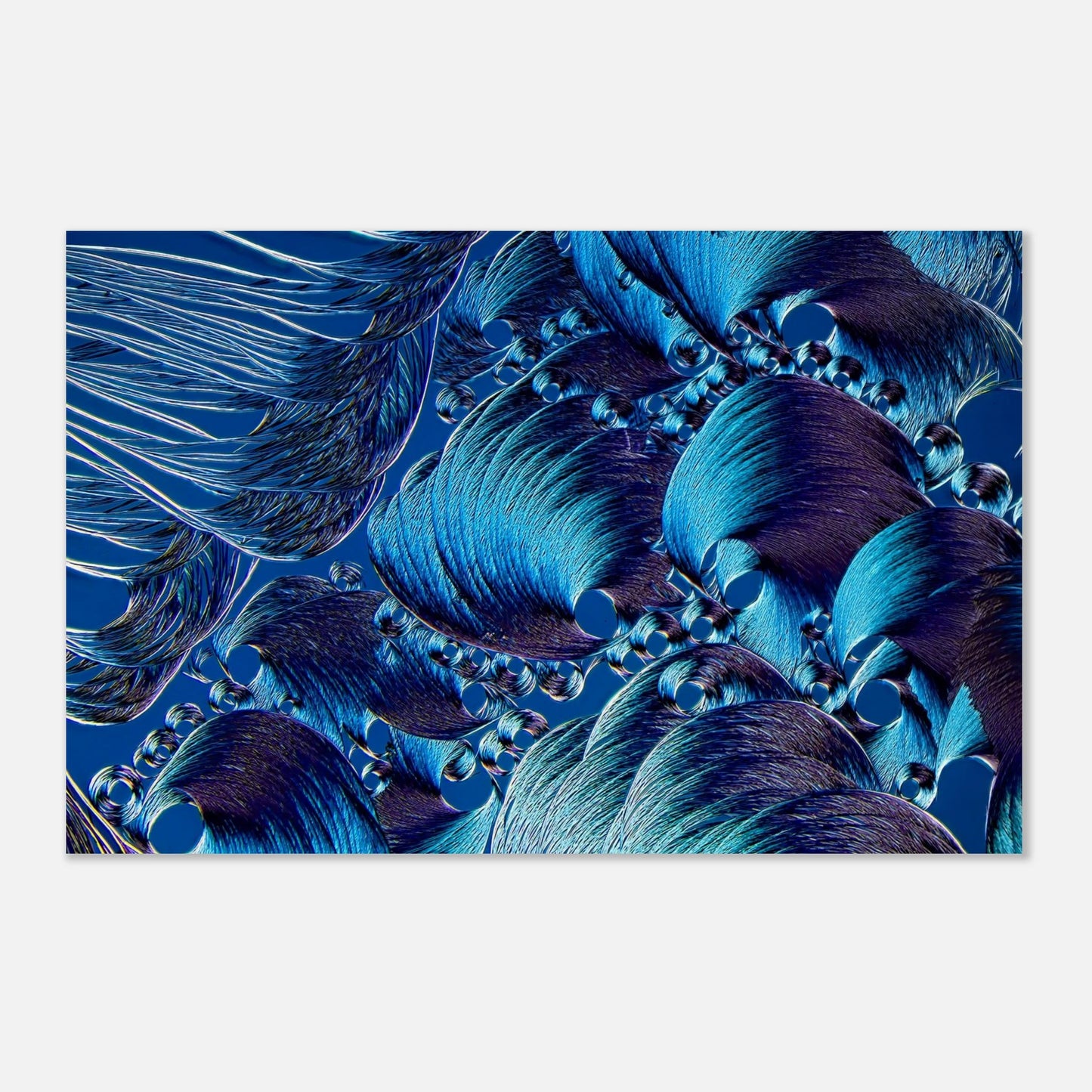 e7a34a18-a8f3-4fd2-a6dd-bf432d6e8e87