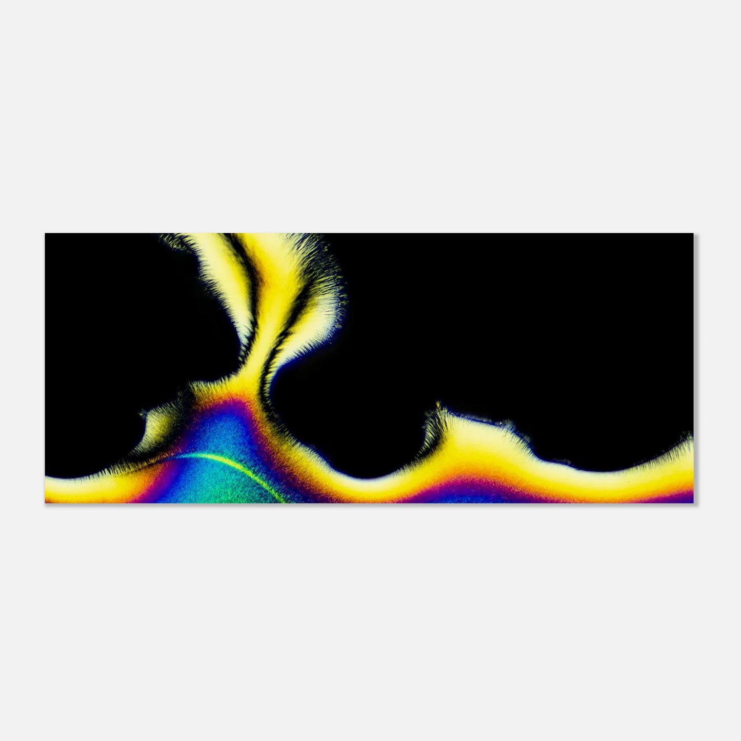 eef66068-091d-4d56-8629-7b81d9d36ad9