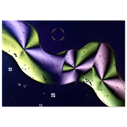 fccc522f-c240-4efd-a599-7362064c70da