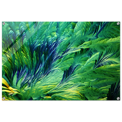 ff50f3c8-2b3e-43c5-a796-ce9938b027f5