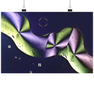 Sorbit - Mikrokristall-Poster Din A4 wioostore.de